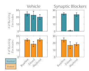 Vehicle vs synaptic blockers bursting activity recordings