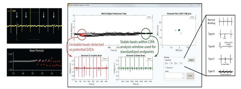 CiPA data analysis with Maestro software