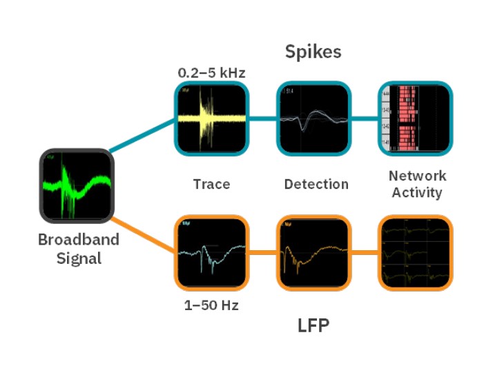 Broadband signal processing in AxIS Navigator