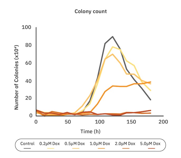Clonogenic assay and Dox concentration graph