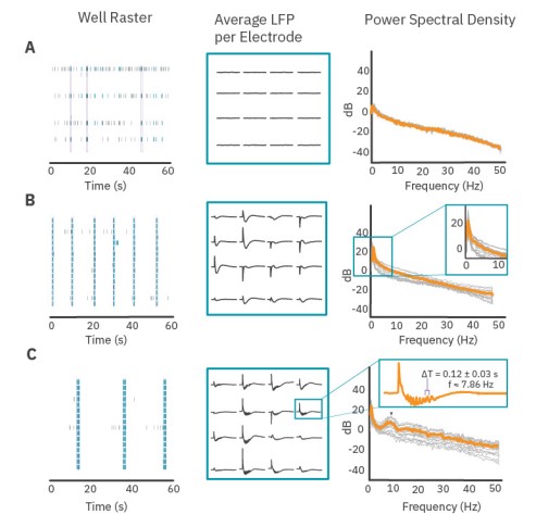 Peaks in the PSD correspond to patterns of spiking activity