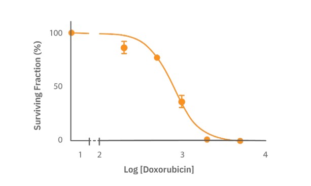 Dox dose-response curve chart