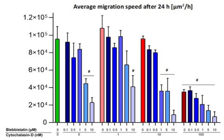 The average migration speed