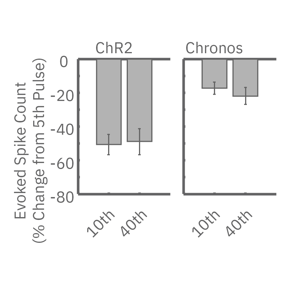 Evoked spike count showed consistent results for ChR2 and Chronos