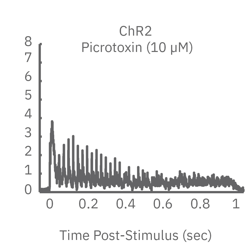 Chronos with picrotoxin added showed variability in response to light stimulus