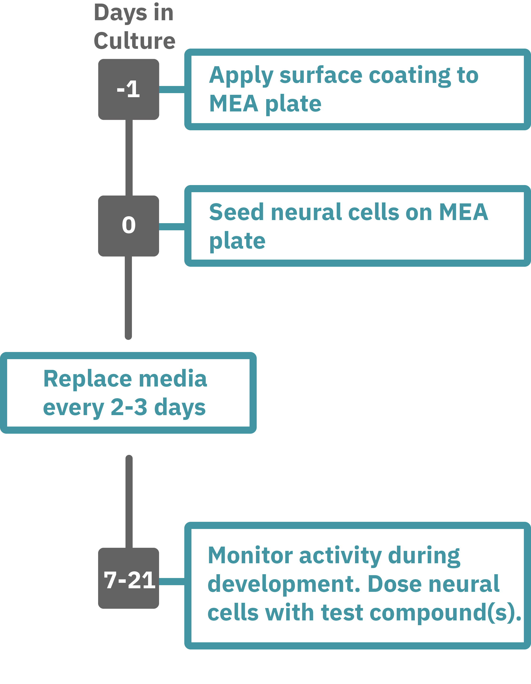 Neurotox protocol