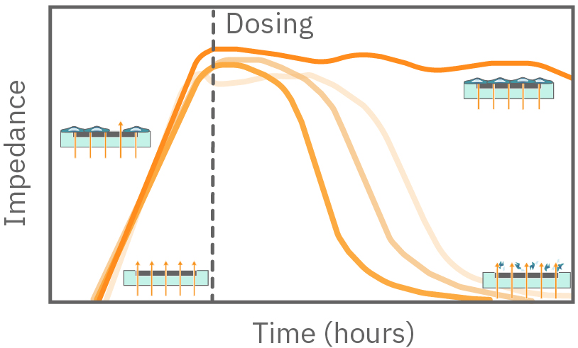 Recording cytotoxicity and cell viability response over time in an impedance assay