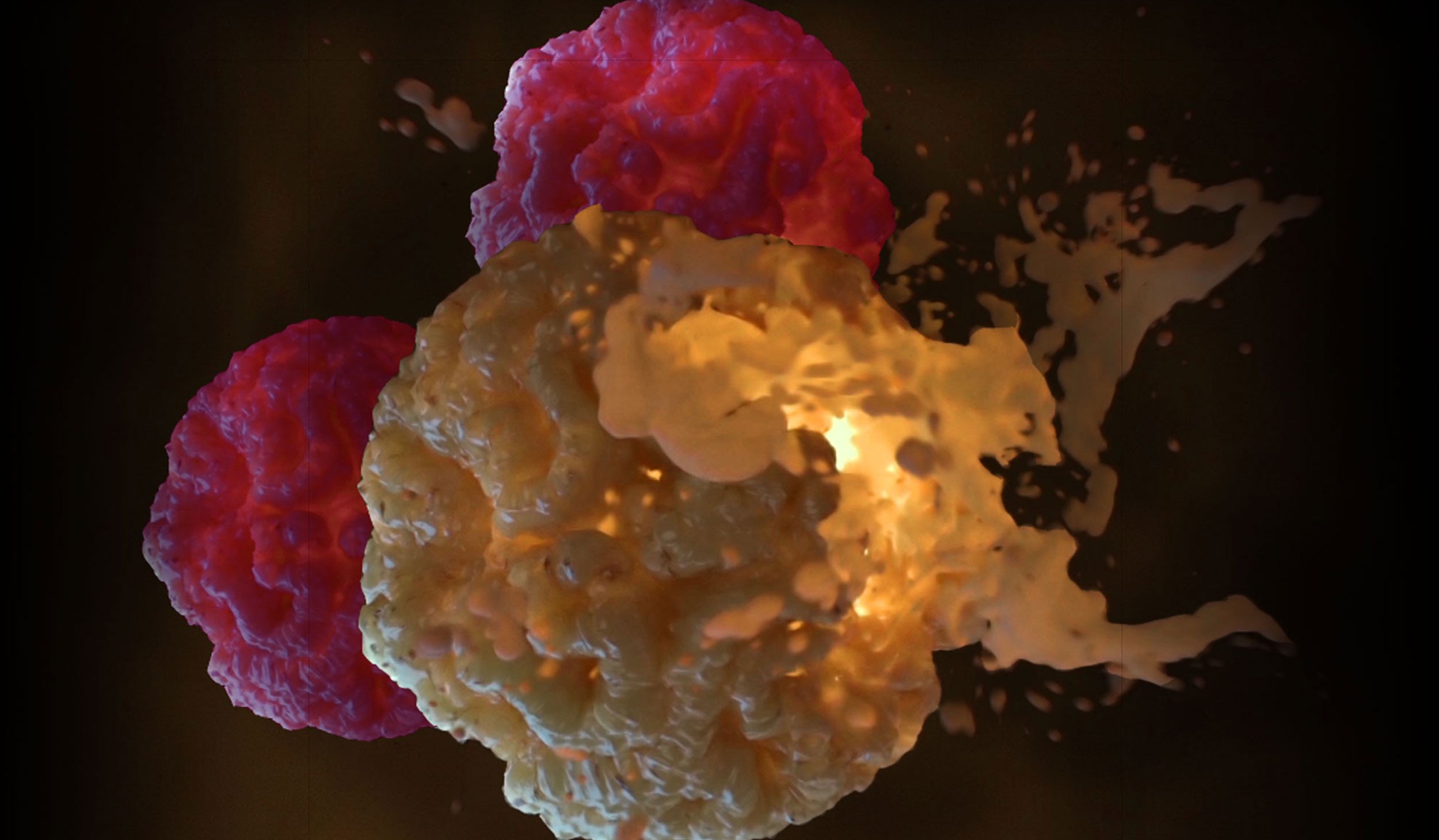 Immuno-oncology