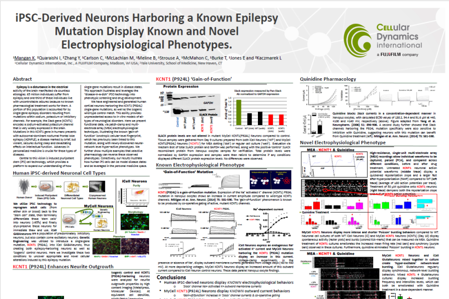 2017 SfN poster iPSC-derived neurons harboring a known epilepsy mutation display known and novel electrophysiological phenotypes