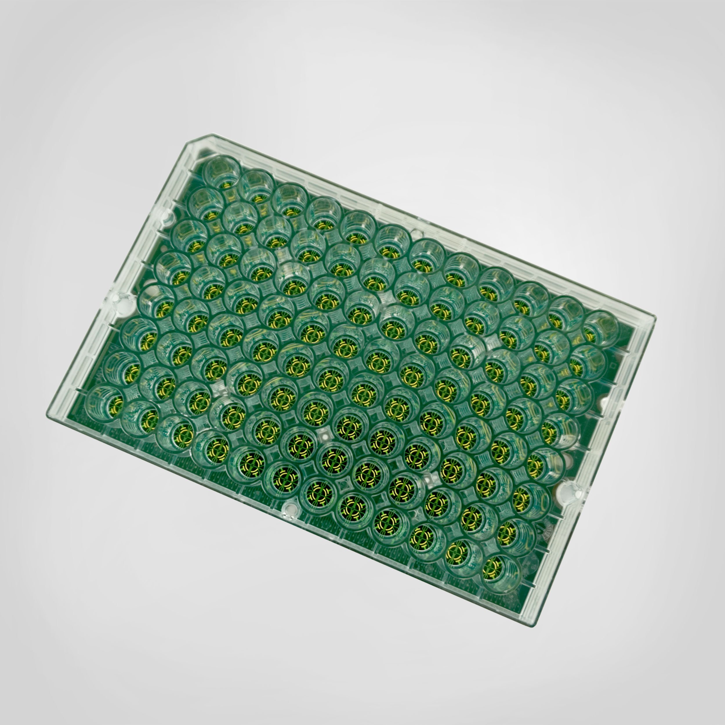 BioCircuit 96 well microelectrode array MEA plate