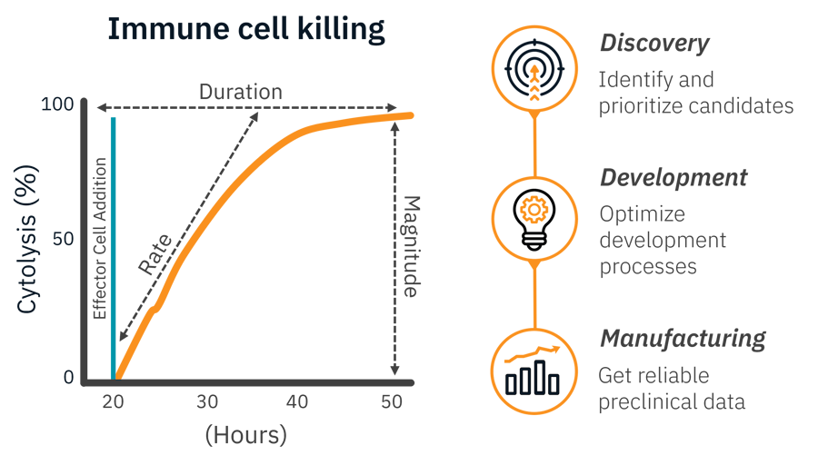 Immune Cell Killing from discovery to manufacturing workflow