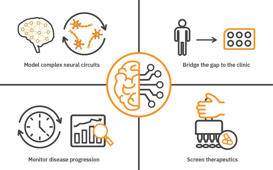 Neurological disease infographic