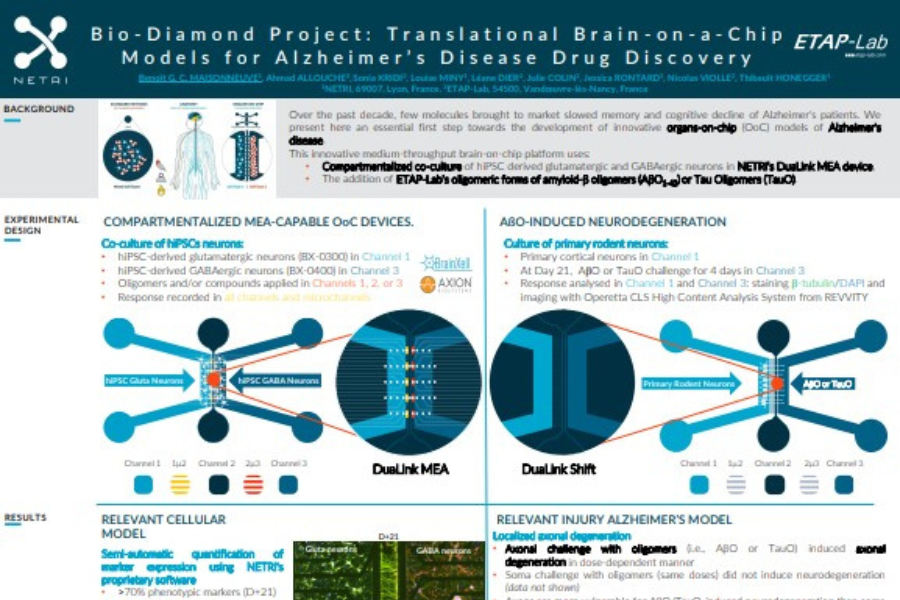 Bio-Diamond Project Translational brain-on-a-chip models for Alzheimer's Disease Drug Discovery