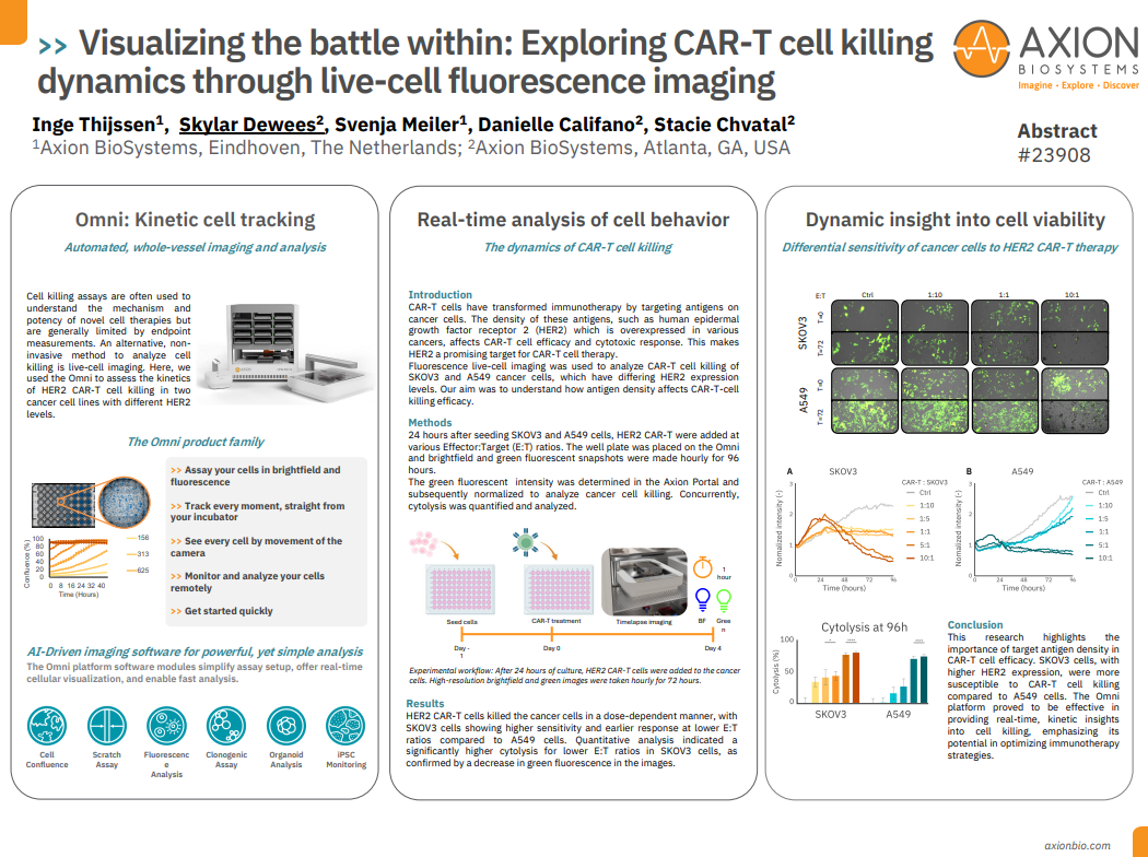 Exploring CAR-T cell killing dynamics through live-cell fluorescence imaging