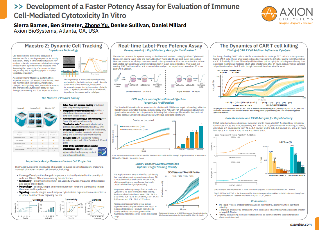 Development of a Faster Potency Assay for Evaluation of Immune Cell-Mediated Cytotoxicity In Vitro