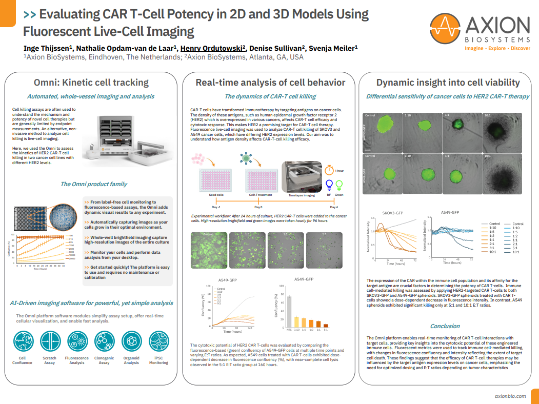 Evaluating CAR T-Cell Potency in 2D and 3D Models Using Fluorescent Live-Cell Imaging