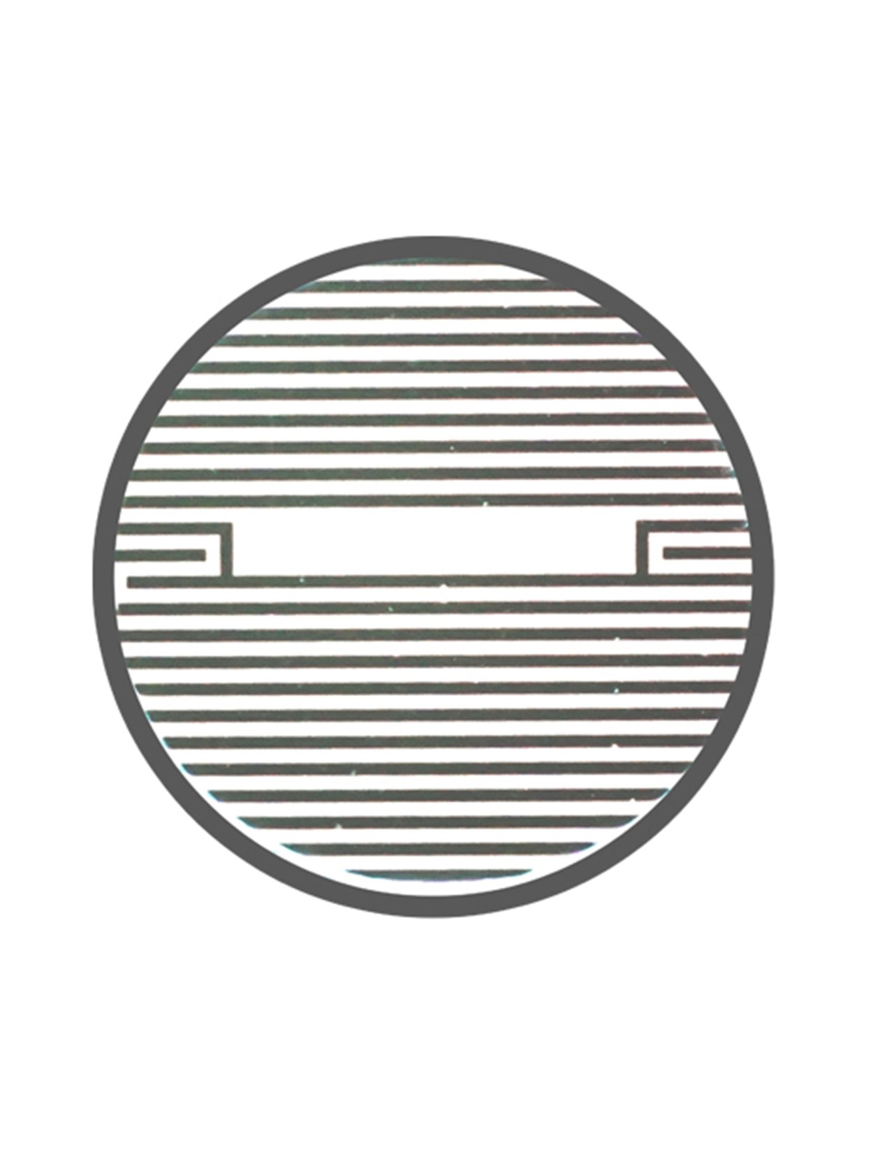 CytoView Z plate from Axion BioSystems for impedance assays on Maestro Z systems