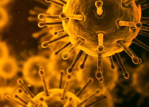 Anti-viral Drugs - virus in orange