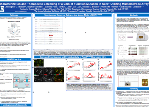 2017 SfN Bostick poster characterization and therapeutic screening in multielectrode arrays
