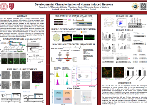2017 SfN Giam Poster developmental characterization of human induced neurons