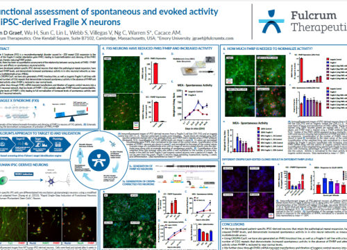 2017 SfN Graef functional assessment of spontaneous activity from Fragile X neurons