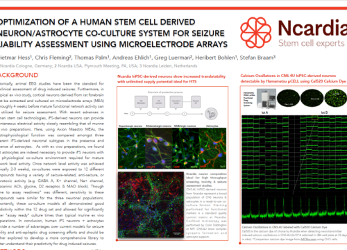 2017 SfN Hess Poster optimization of human stem cells for seizures