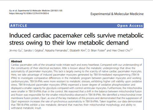 2019_expmolmed_gu_inducedcardiacpacemakercells.png
