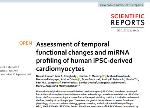 (2019) Kumar et al. Assessment of temporal functional changes and miRNA profling of human iPSC-derived cardiomyocytes 