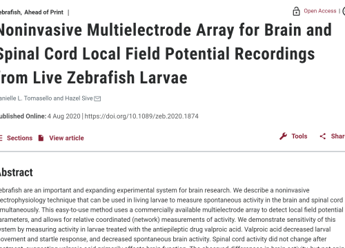 2020_zebrafish_tomasello_noninvasivemultielectrodearrayfor.png