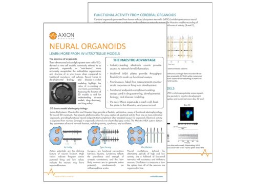 Axion Bio App Note Neural Organoids or mini brains