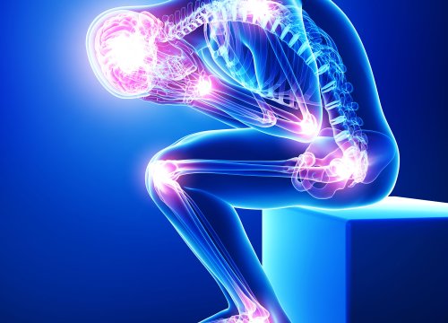 Pain in vitro on multielectrode array