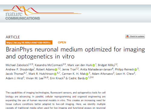 2020 publication neuronal medium optimized for optogenetics