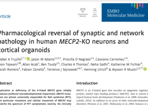 2020 EMBO Muotri Neural organoids and MEA paper