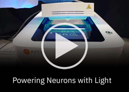 Powering neurons with light: optogenetic control of two neural populations
