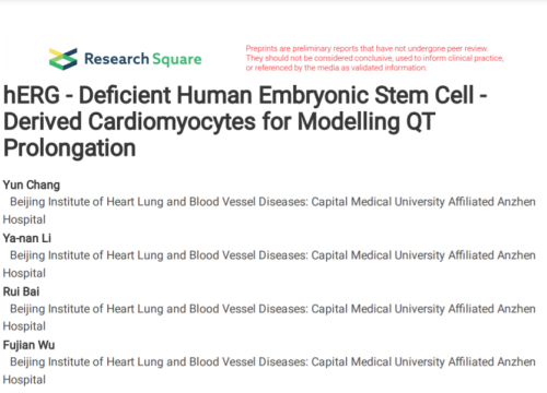 hERG deficient human embryonic stem cell with cardiomyocyte and AT prolongation