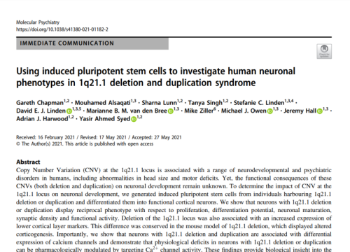 2021 publication nature using induced pluripotent stem cells to investigate human neuronal phenotypes in 1q21.1 deletion