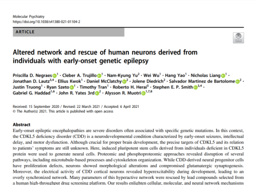 Altered network and rescue of human neurons derived from individuals with early-onset genetic epilepsy