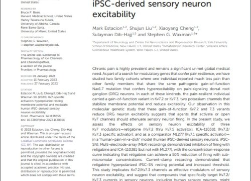 An Optimized Workflow to Generate and Characterize iPSC-Derived Motor Neuron (MN) Spheroids