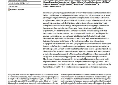 Glioblastoma remodelling of human neural circuits decreases survival (Nature 2023 Publication)
