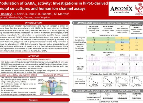 Modulation of GABAA activity: Investigations in hiPSC-derived  neural co-cultures and human ion channel assays