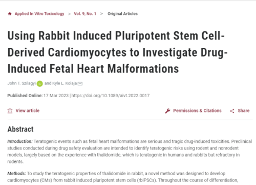 Using Rabbit Induced Pluripotent Stem Cell-Derived Cardiomyocytes to Investigate Drug-Induced Fetal Heart Malformations