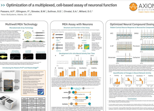 Optimization of a multiplexed, cell-based assay of neuronal function
