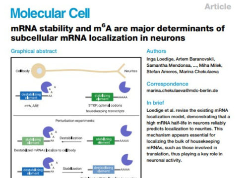 Molecular Cell Publication, 3 Aug 2023