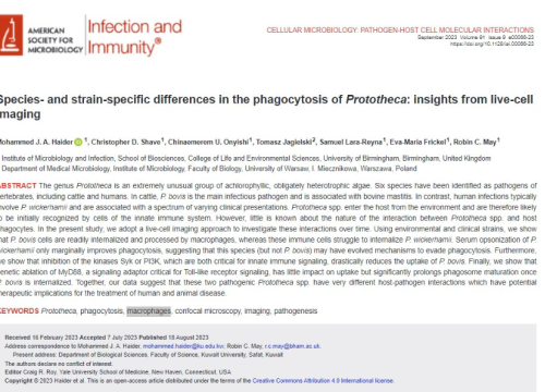 Infection and Immunity, 18 August 2023