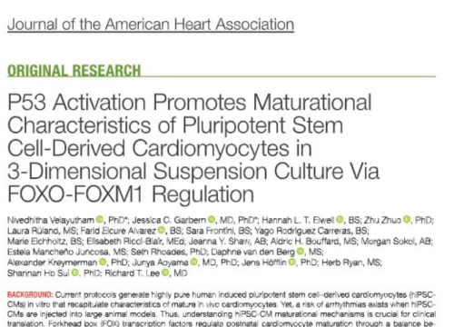 Journal of the American Heart Association, 27 June 2024