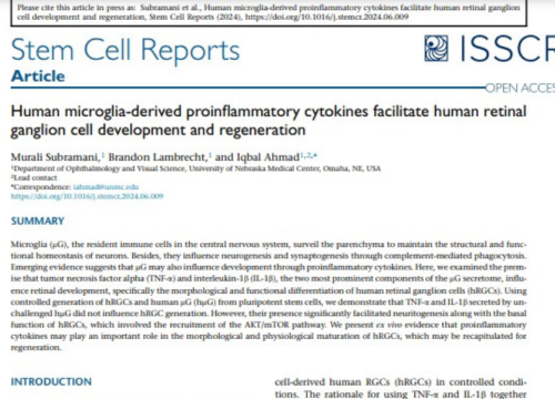 Stem Cell Reports, 25 July 2024