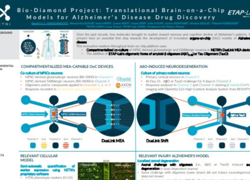 Bio-Diamond Project Translational brain-on-a-chip models for Alzheimer's Disease Drug Discovery