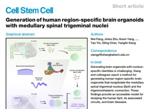 Cell Stem Cell, Aug 2024