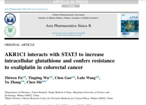 Acta Pharmaceutica Sinica B, 2 September 2024