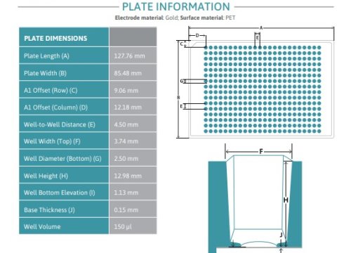 CytoView-Z 384 Datasheet